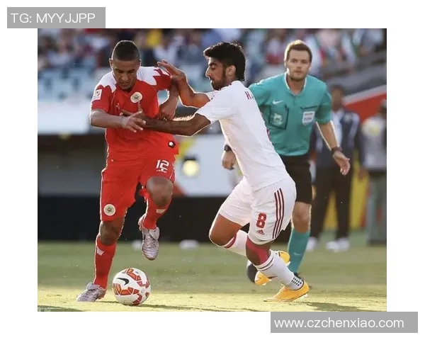 杭州排球队在世界杯预选赛中的团队协作表现分析与点评